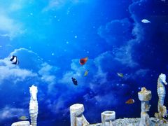 -芜湖新华联大白鲸海洋公园