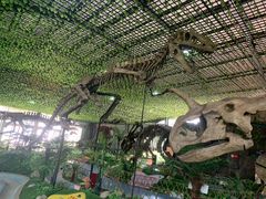 -诸城市恐龙博物馆