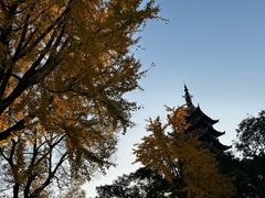 -常熟方塔园
