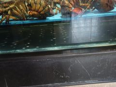 -阿伟海鲜楼·福建菜(延寿店)