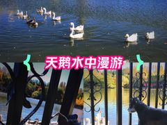 -王府井奥莱棋盘山小镇