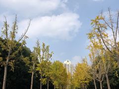 -苏州河梦清园环保主题公园