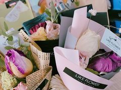 -植物学家的女儿(北马道巷店)