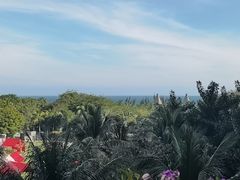 -海南清水湾莱佛士酒店