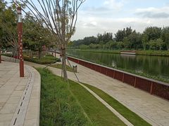 -深圳湾公园(南山区)