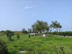 -东堤公园