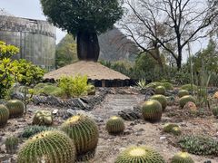 -Club Med地中海俱乐部·桂林度假村