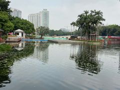 -荔湾湖公园