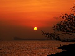 -上海吴淞炮台湾国家湿地公园