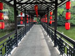 -侨美·唐荔园·40年地道粤菜