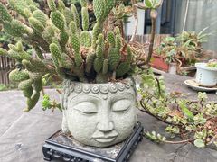 -三圣花乡旅游区