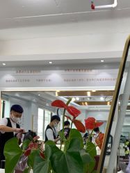 -镁连社·美联社