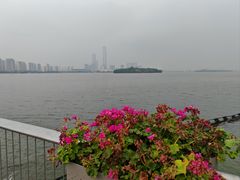 -金鸡湖景区