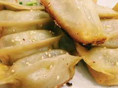 鲜肉锅贴-小姜锅贴(凤凰街店)
