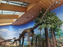 -延庆地质公园博物馆