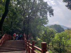-紫金山山顶公园