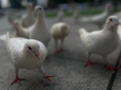 -IPARK购物中心