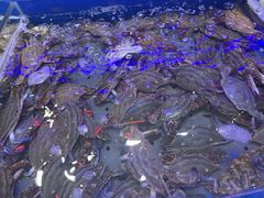-澜悦港海鲜体验主题餐厅