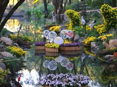 -上海共青森林公园