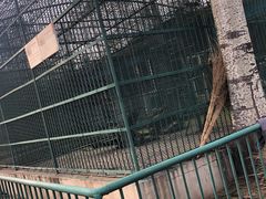 -秦皇岛野生动物园