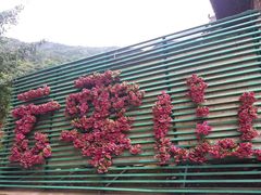 -木兰云雾山