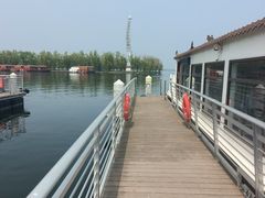 -白洋淀景区