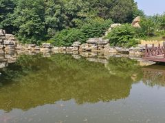 -北京西山国家森林公园