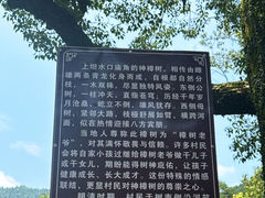 -上坦村