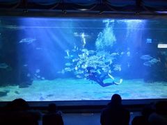 -石家庄海洋公园