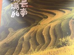 -云味馆·云南菜·云南米线(中洲店)