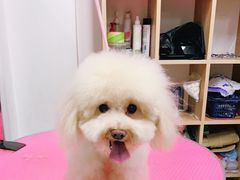 -米卢宠物公园(广华居店)