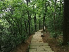-九曜山