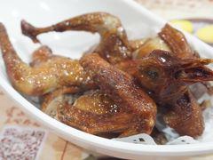 红烧乳鸽-赏点粤式点心(广州塔店)