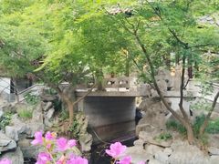 -扬州大运河文化旅游度假区·盆景园