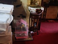 -御筋堂正骨推拿(星源国际店)