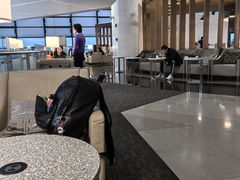 -虹桥机场国航贵宾室v8