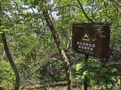 -紫金山山顶公园