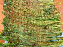 -草原牧语烤全羊(闽江大道店)