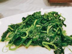 清炒豌豆尖-渝信川菜(西单店)