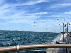 -大连海昌东方水城