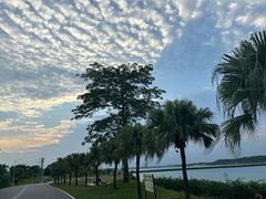 -露天矿生态公园