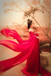 点击看大图 -九月鹰飞汉服摄影工作室
