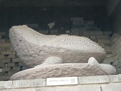 -宁波美术馆