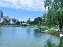 -后襄河公园