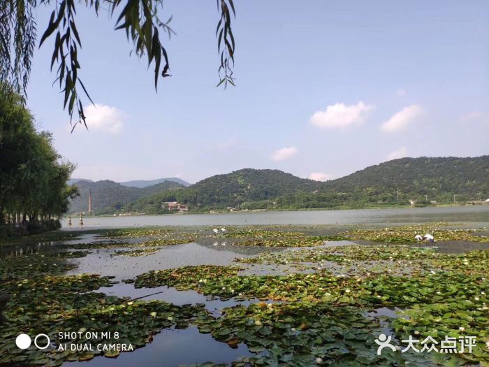 达蓬山旅游度假区图片