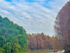 -上海海湾国家森林公园