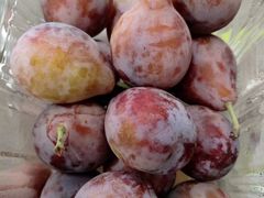 -上海龙吴水胜海发市场