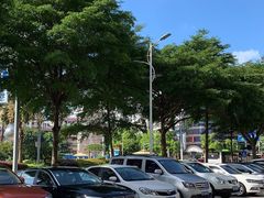 -倾城密码(大唐店)