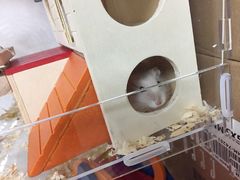 -龙猫仔乐园(惠福东路店)