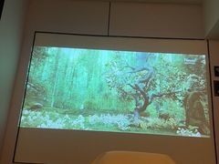 -北里·4k影院式足疗SPA馆(观音桥店)